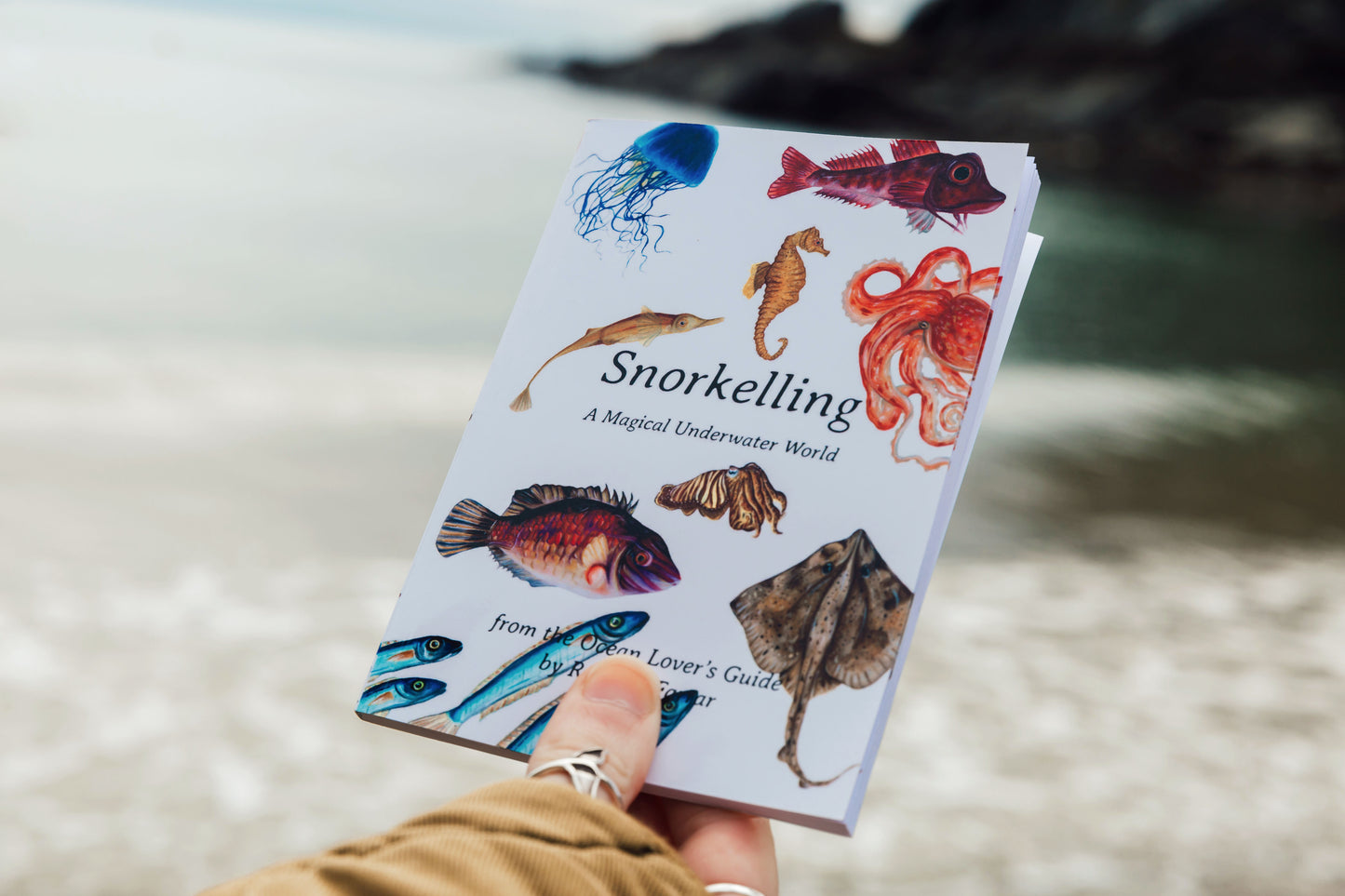 Snorkelling Pocket Book