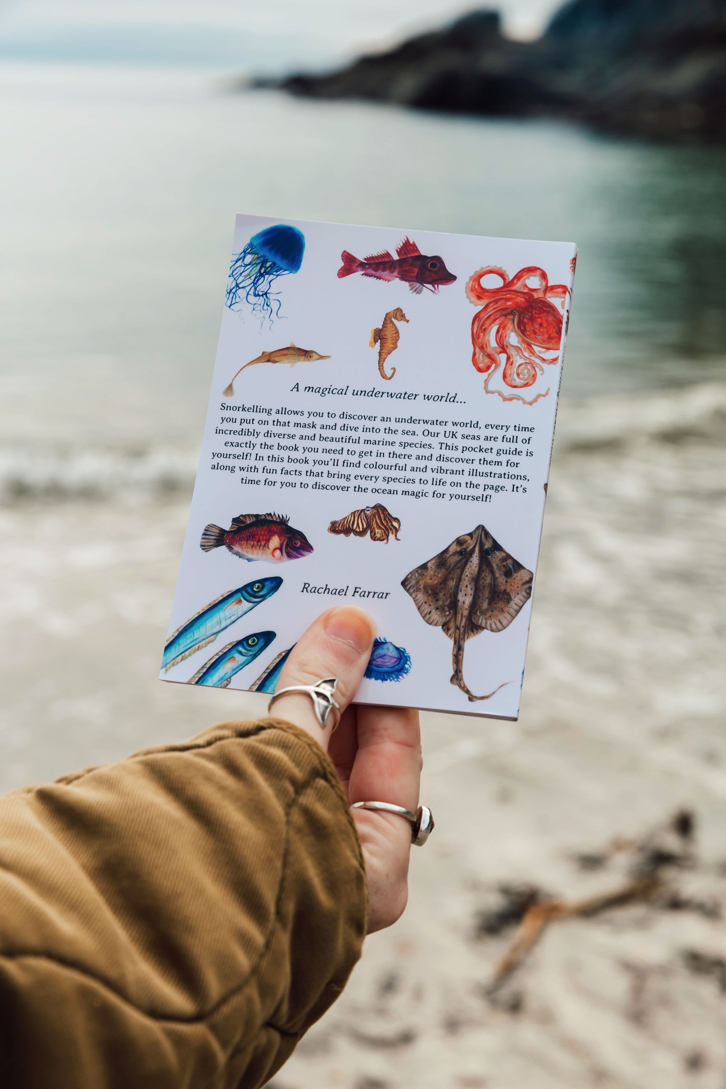Snorkelling Pocket Book