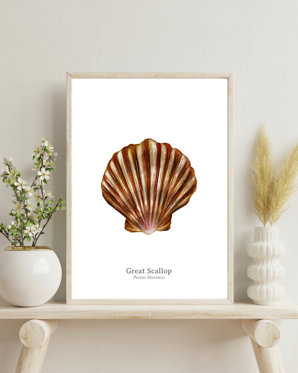 Great Scallop Fine Art Print