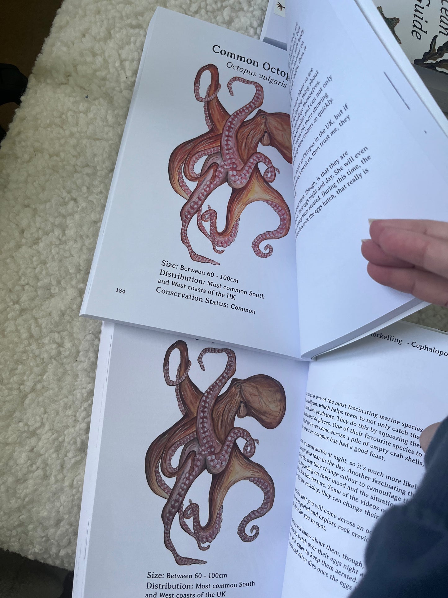 Ocean Lover's Guide (SAMPLES)