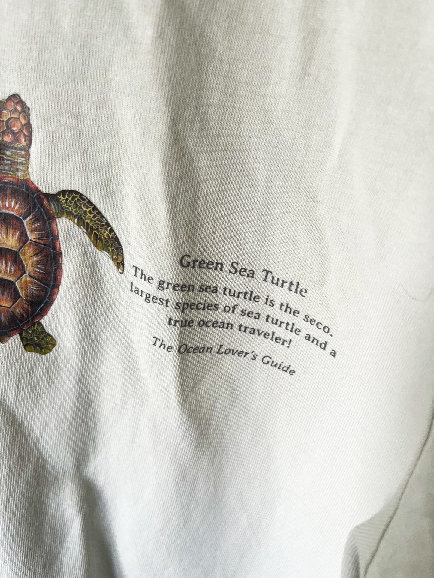 Green Turtle Tee (SAMPLE)