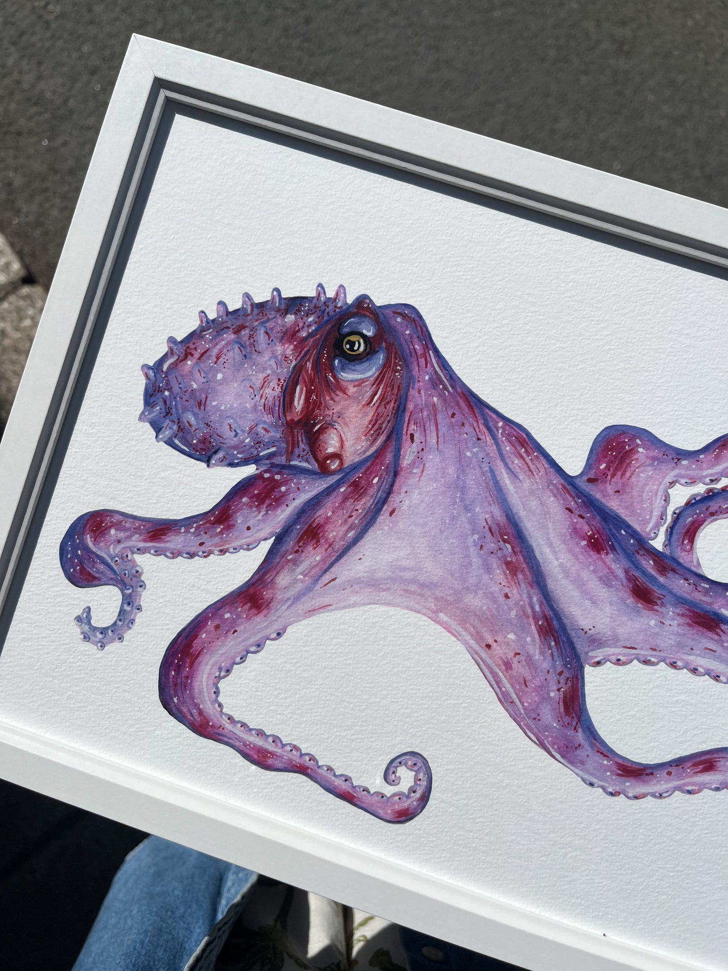 Framed A4 Octopus Fine Art Print