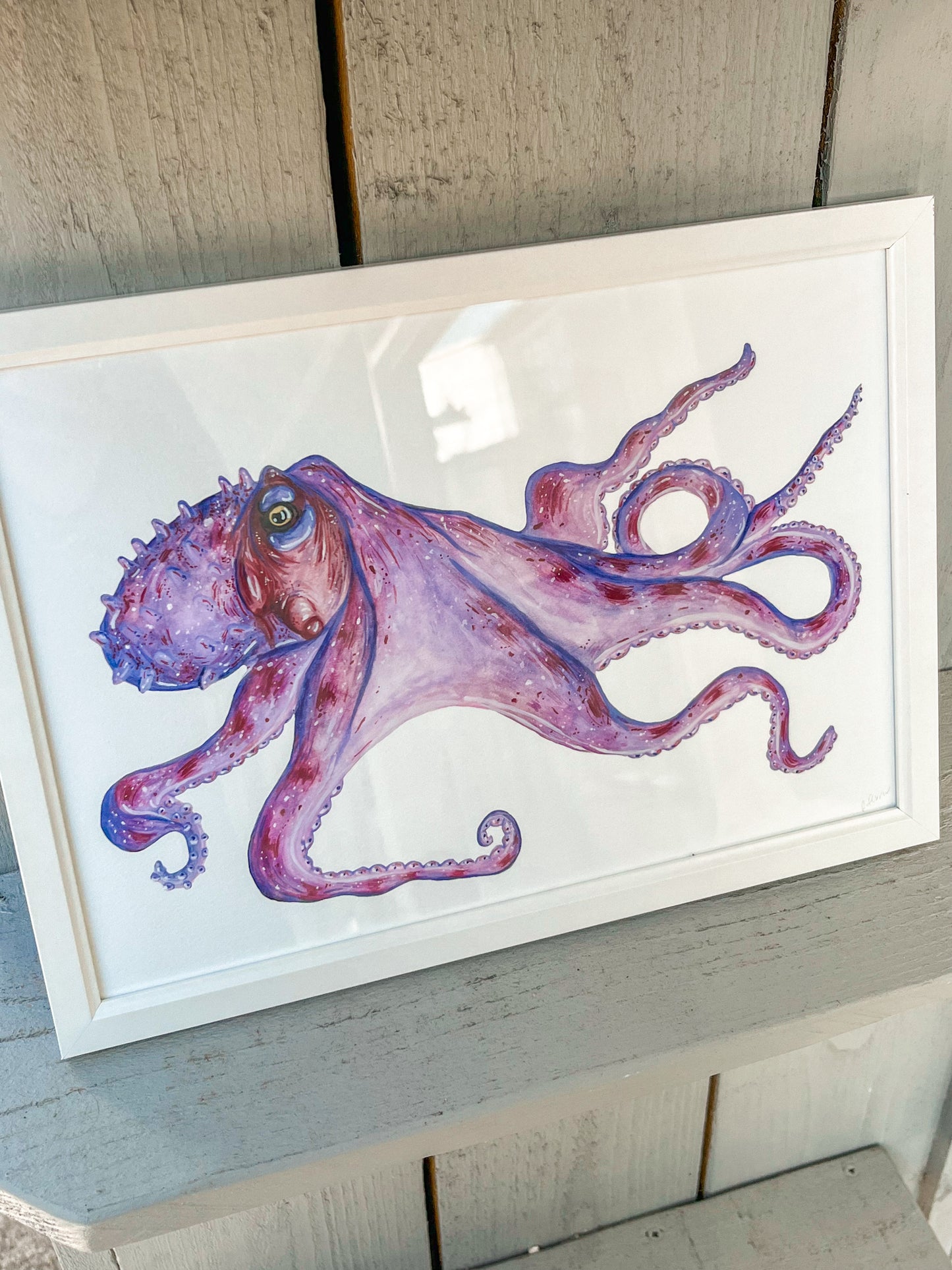 Framed A4 Octopus Fine Art Print