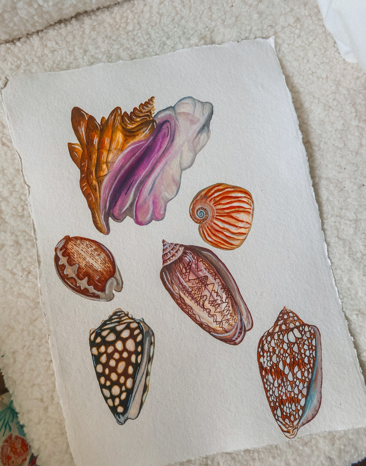 Treasures from the Shore Original Watercolour Painting