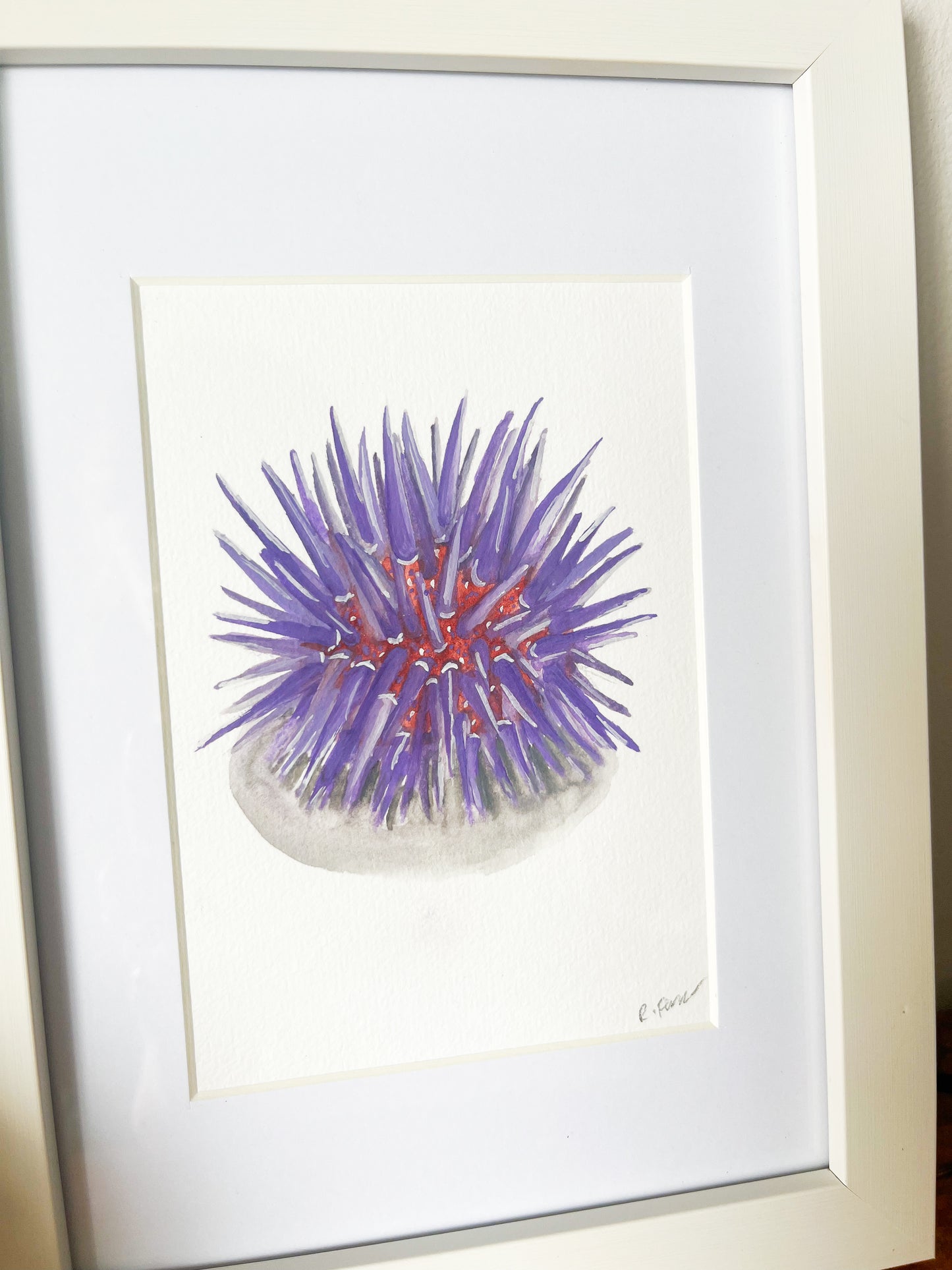Purple Sea Urchin Mini Original Watercolour