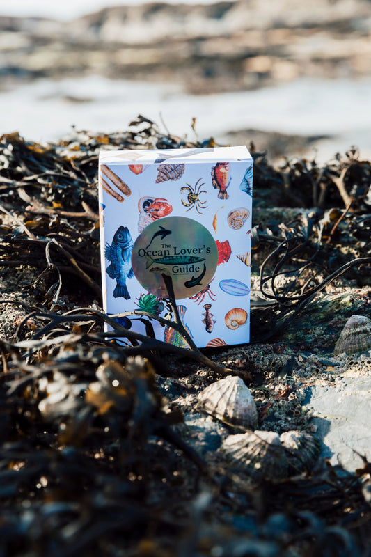 Mystery Mini Print Packs