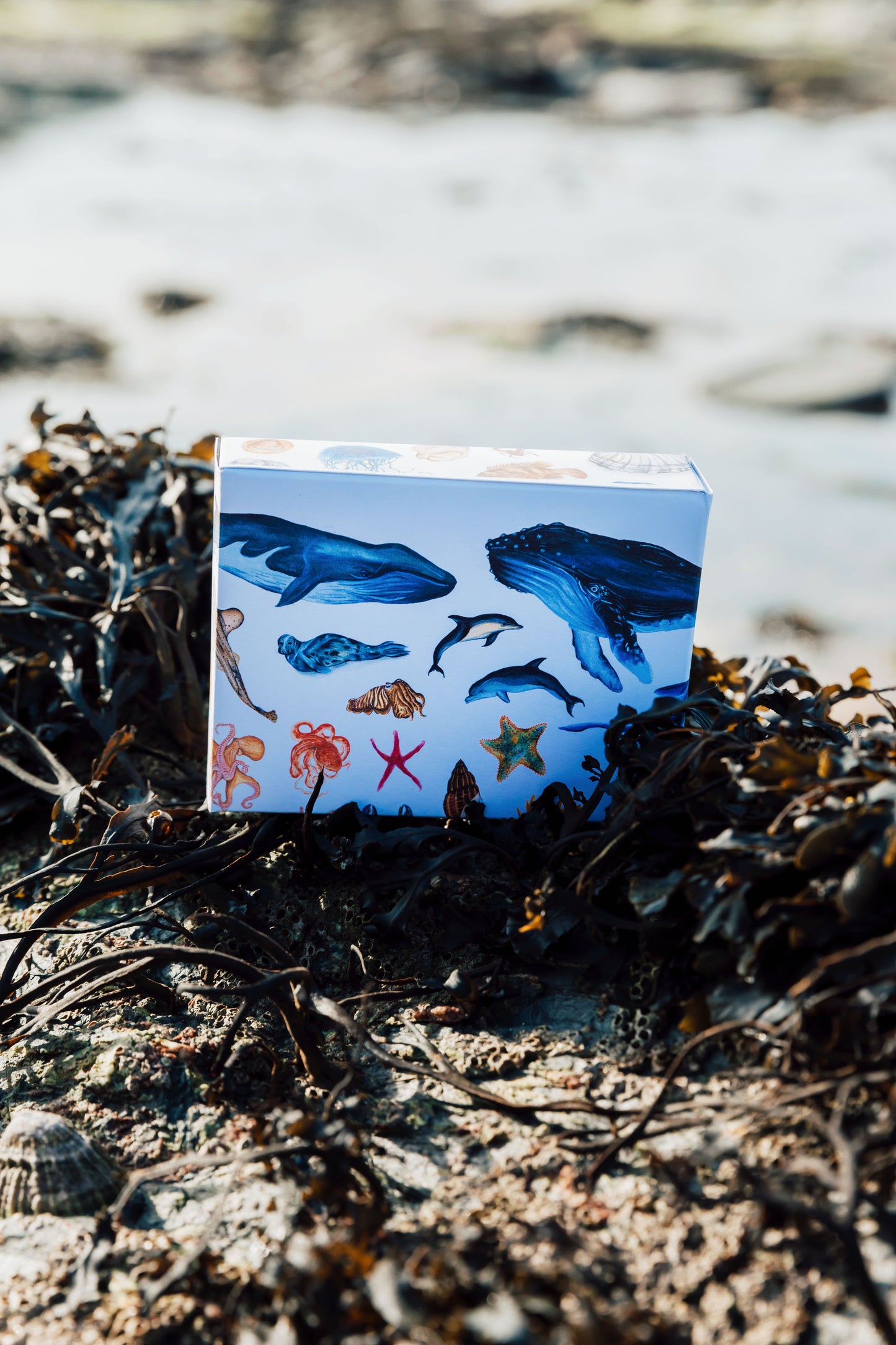 Mystery Mini Print Packs