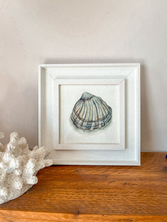 Cockle Shell Original Watercolour Painting
