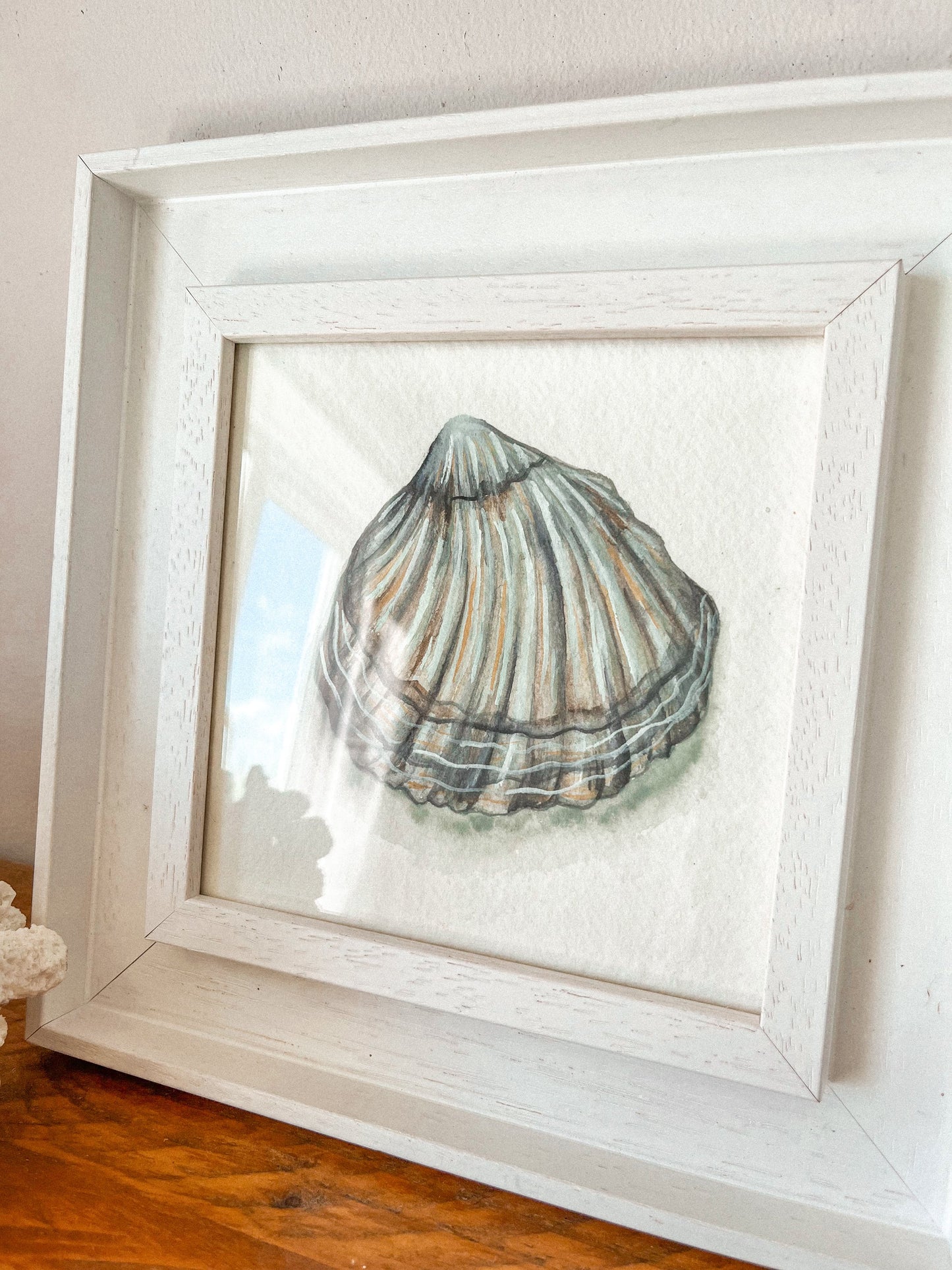 Cockle Shell Original Watercolour Painting