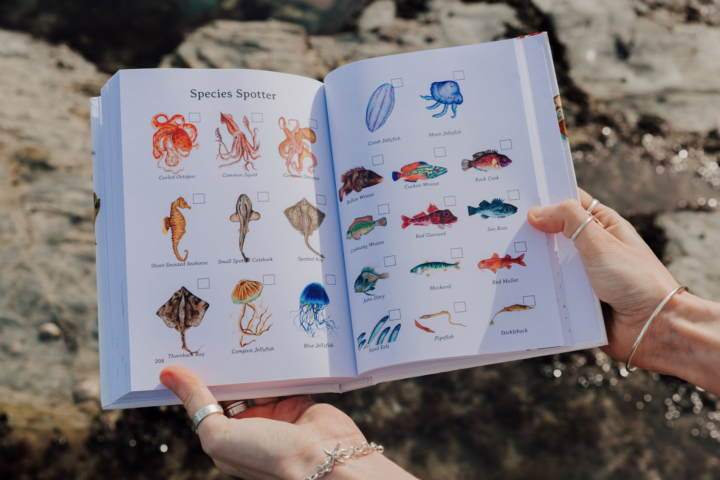 The Ocean Lover's Guide - Hardback Copy