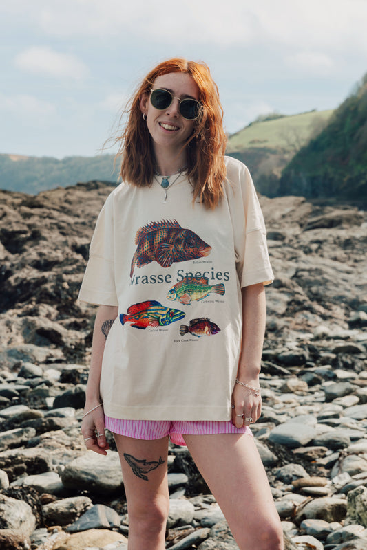 Wrasse Species Oversized Tee