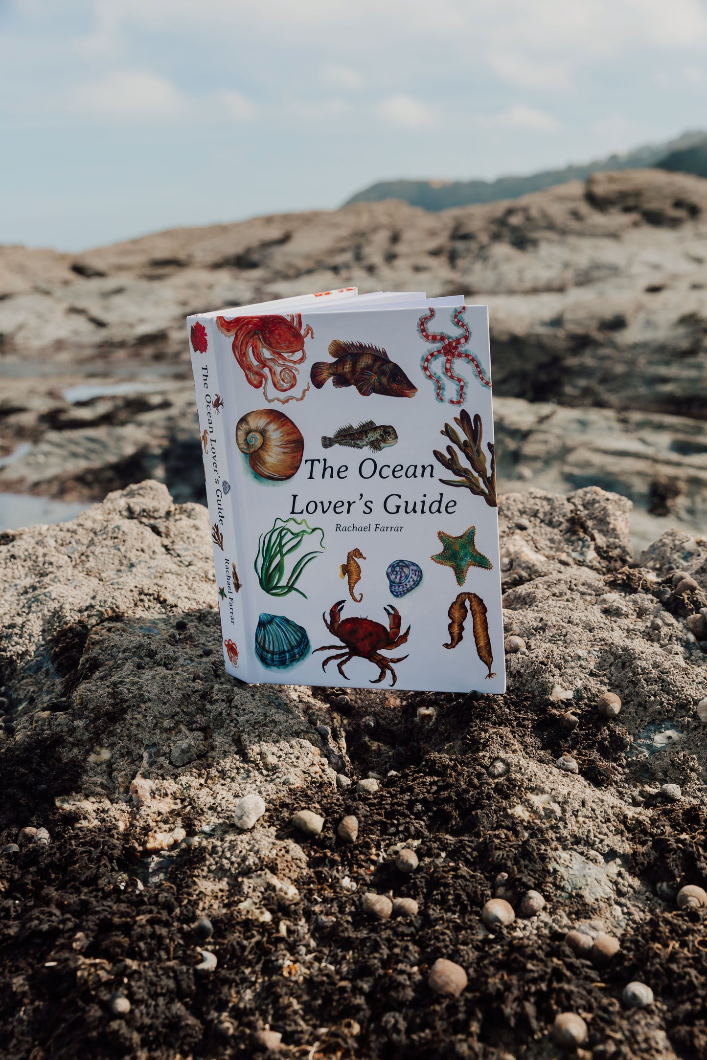 The Ocean Lover's Guide - Hardback Copy