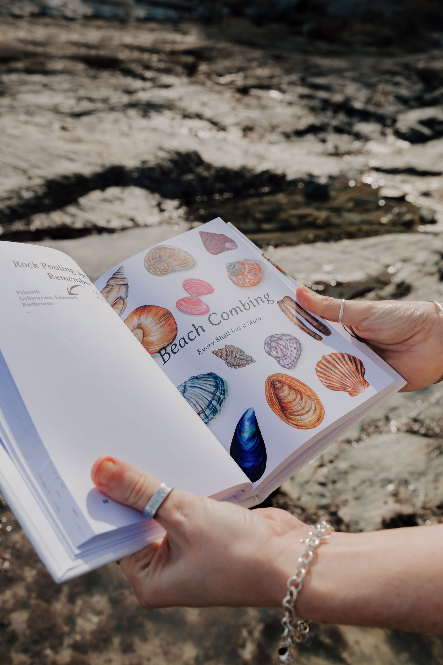The Ocean Lover's Guide