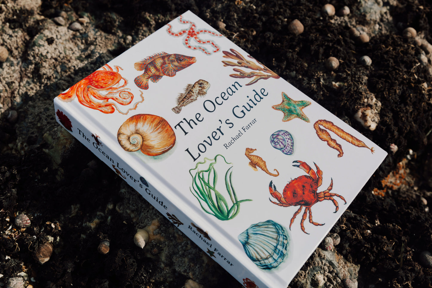 The Ocean Lover's Guide - Hardback Copy