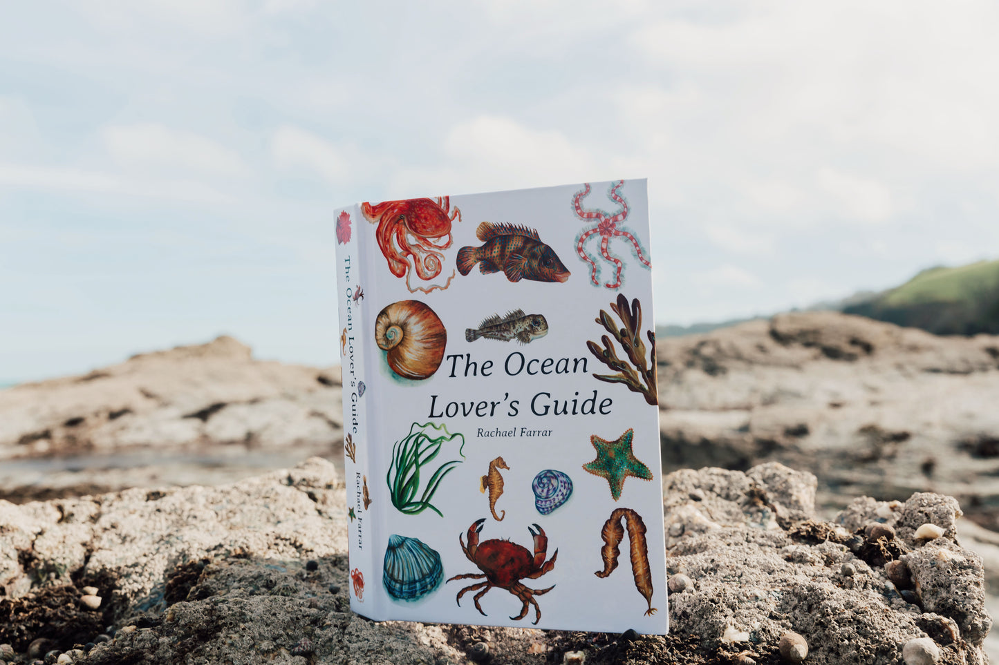 The Ocean Lover's Guide - Hardback Copy