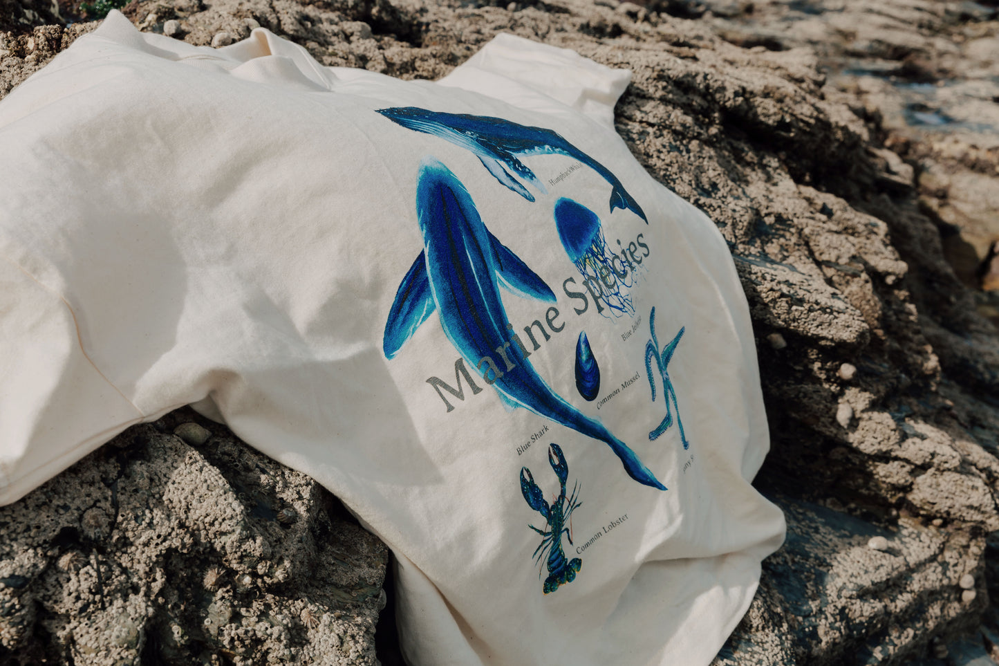 Marine Species Oversized Tee