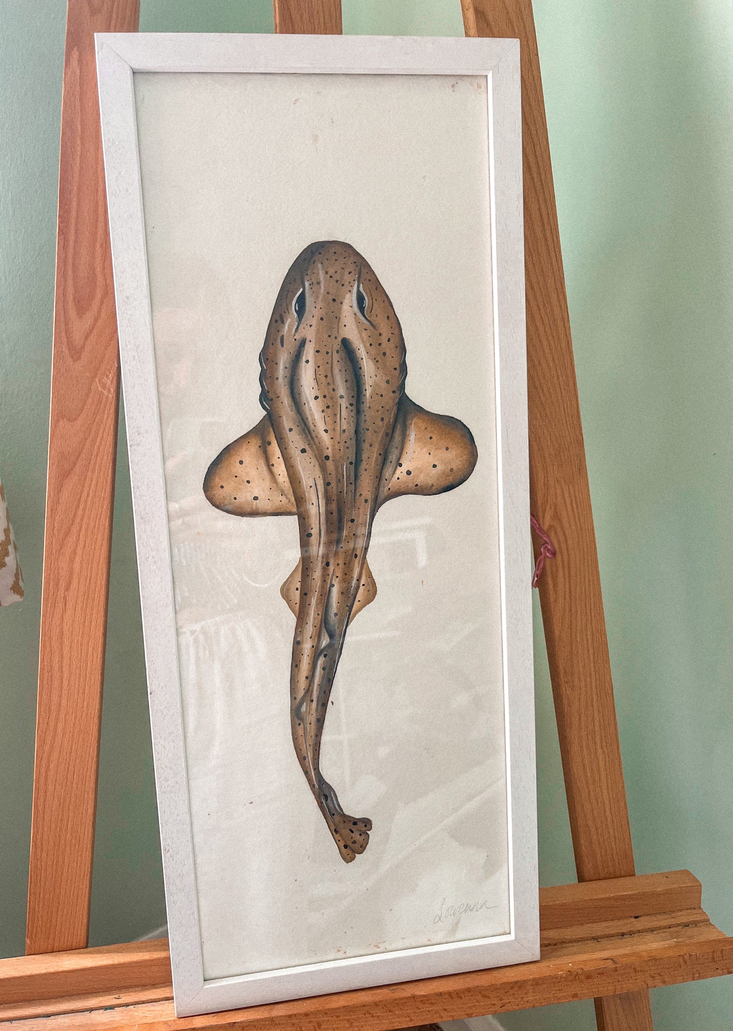 Catshark Original Watercolour Paper