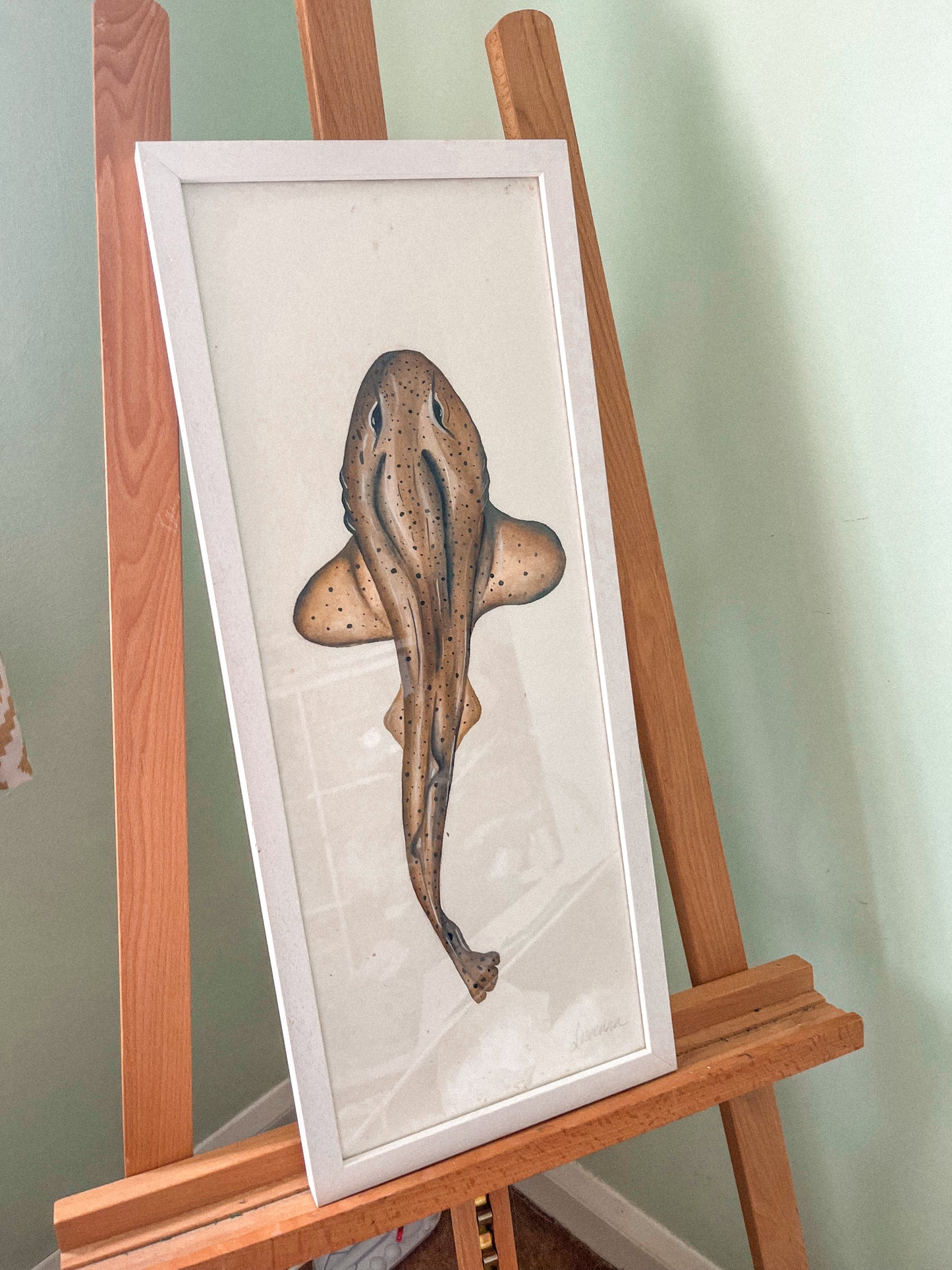 Catshark Original Watercolour Paper