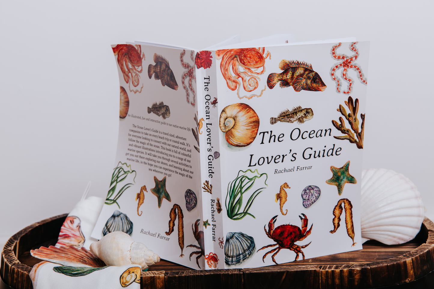The Ocean Lover's Guide
