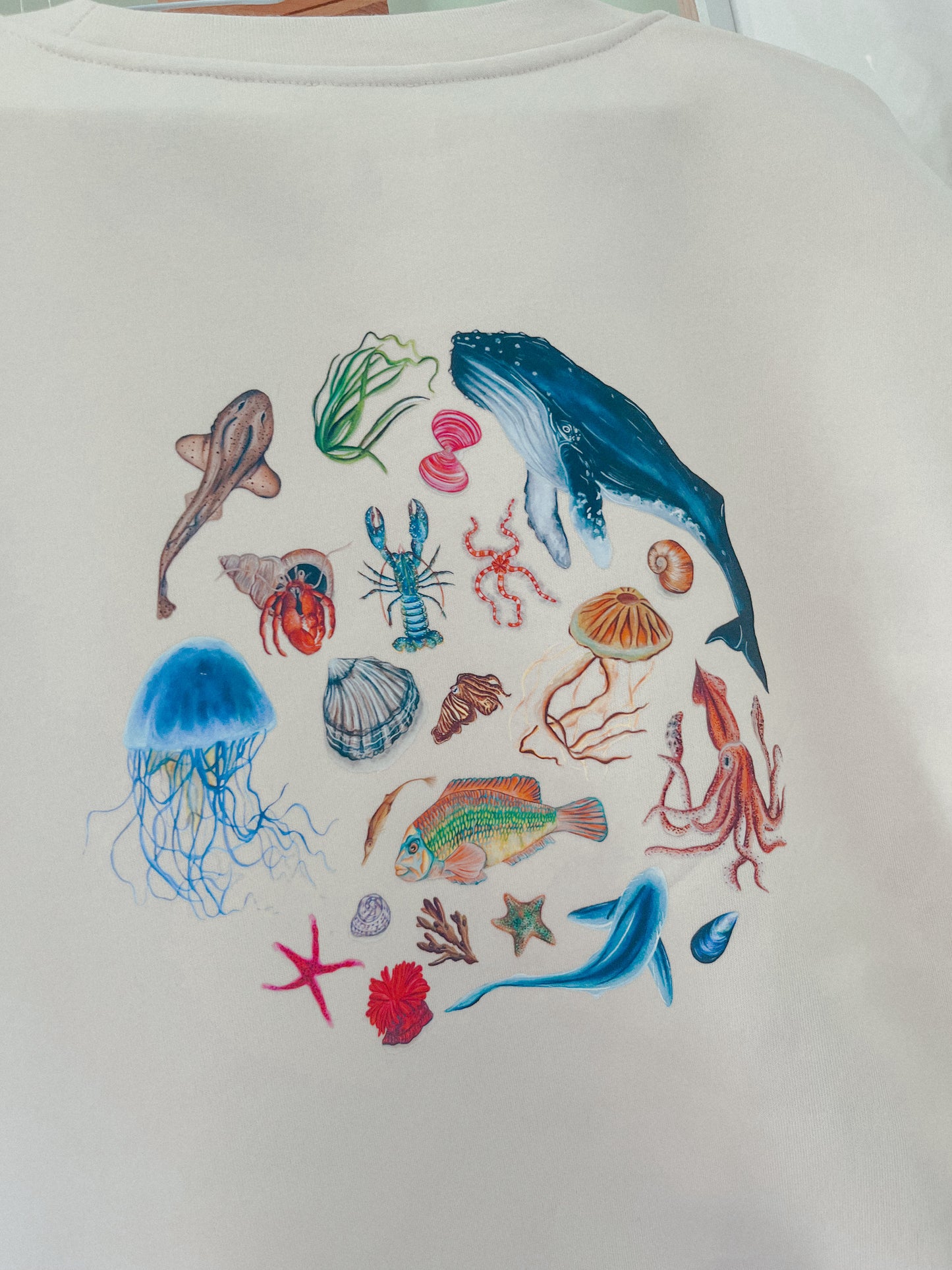 The Ocean Guide Sweater