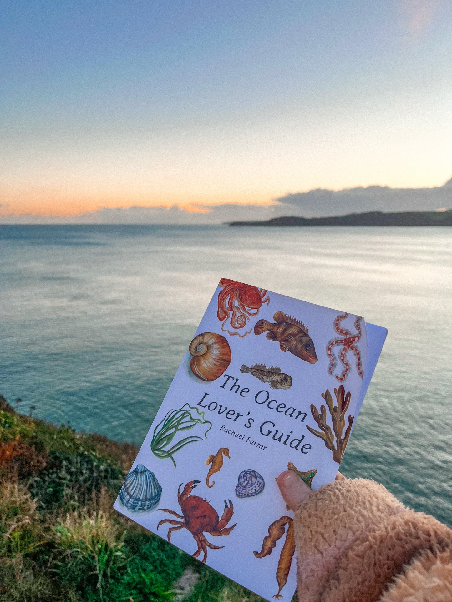 The Ocean Lover's Guide
