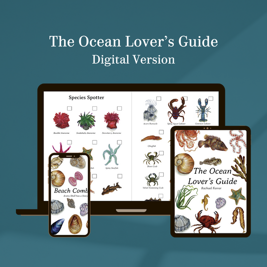 The Ocean Lover's Guide Digital Version