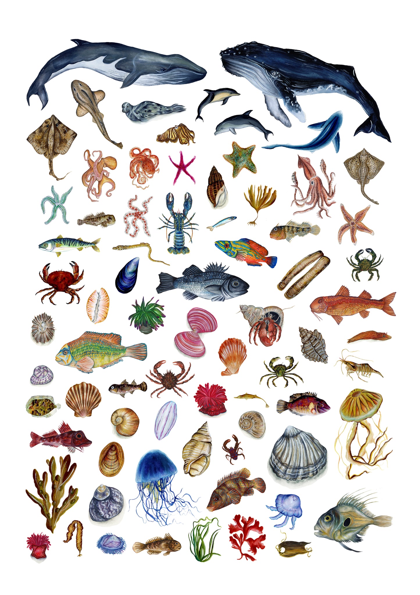 Ocean Lover's Guide Book Print