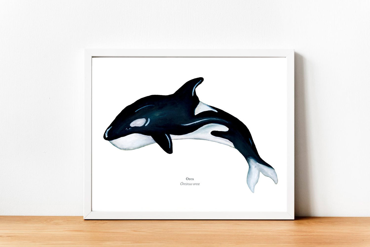 Orca Fine Art Print