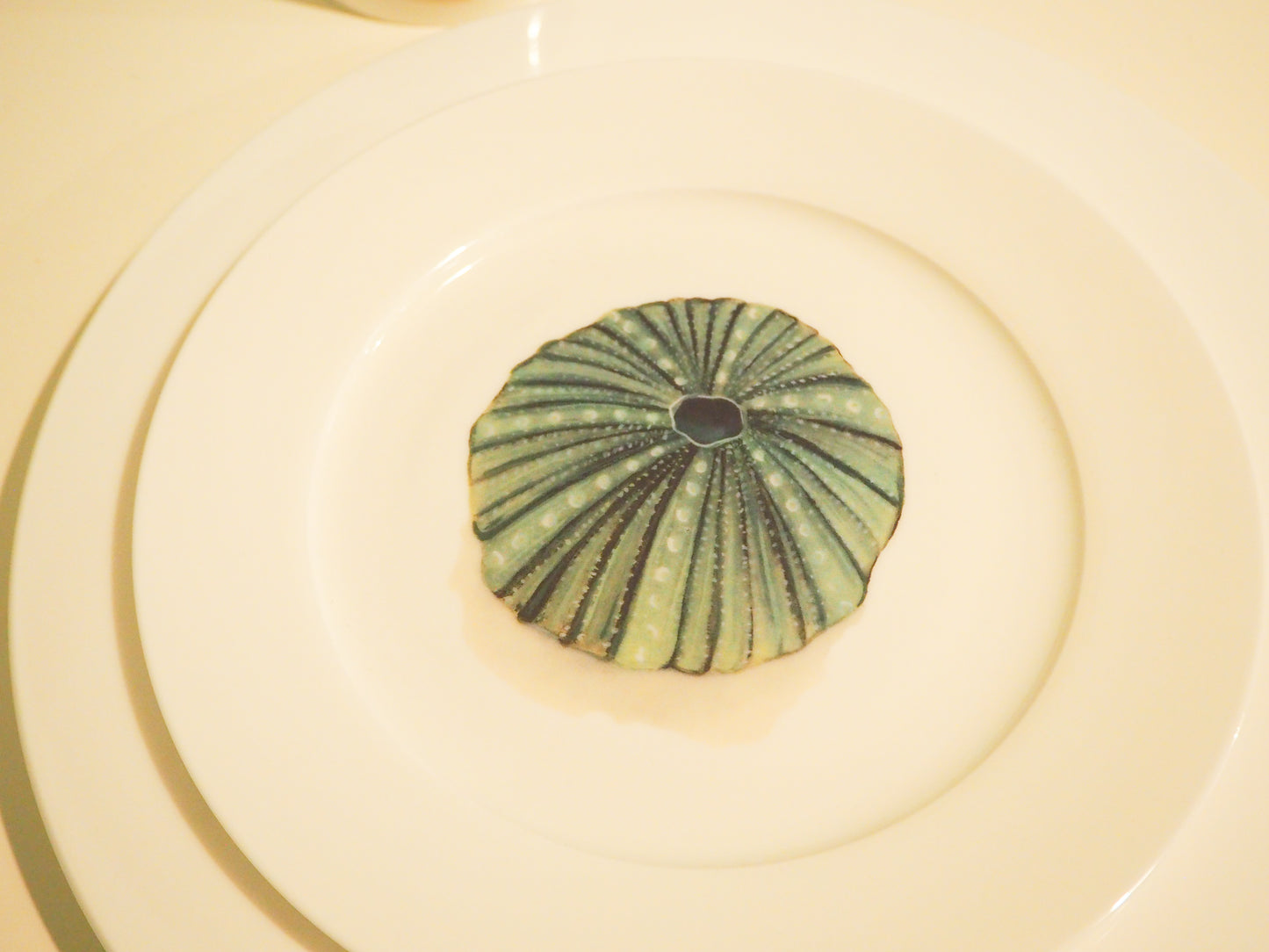 Sea Urchin 10” Dinner Plate
