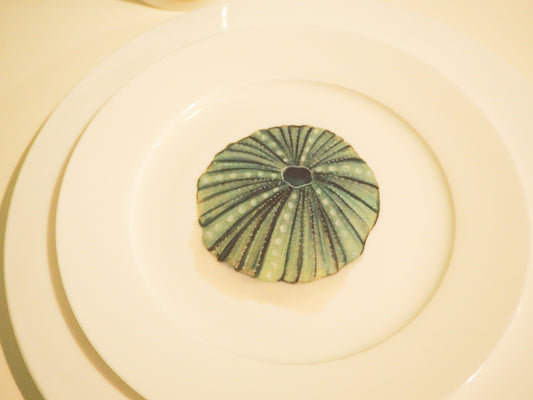 Sea Urchin 8” Side Plate