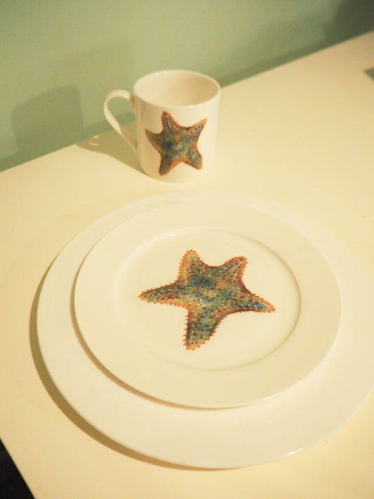Starfish 10” Dinner Plate