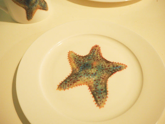 Starfish 8” Side Plate