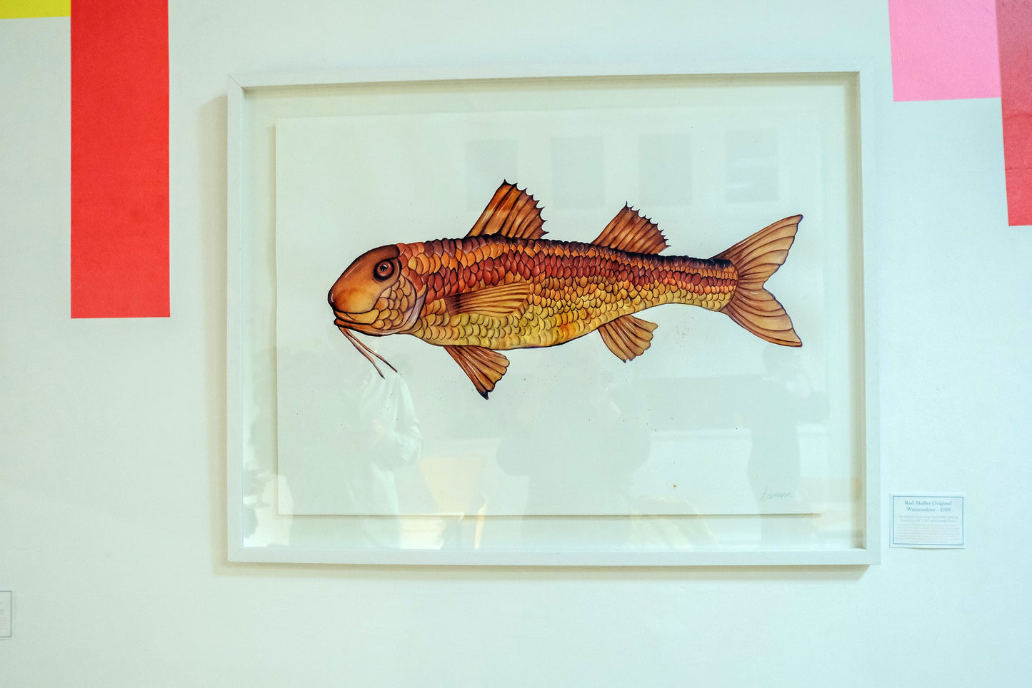 Red Mullet Original Watercolour Painting