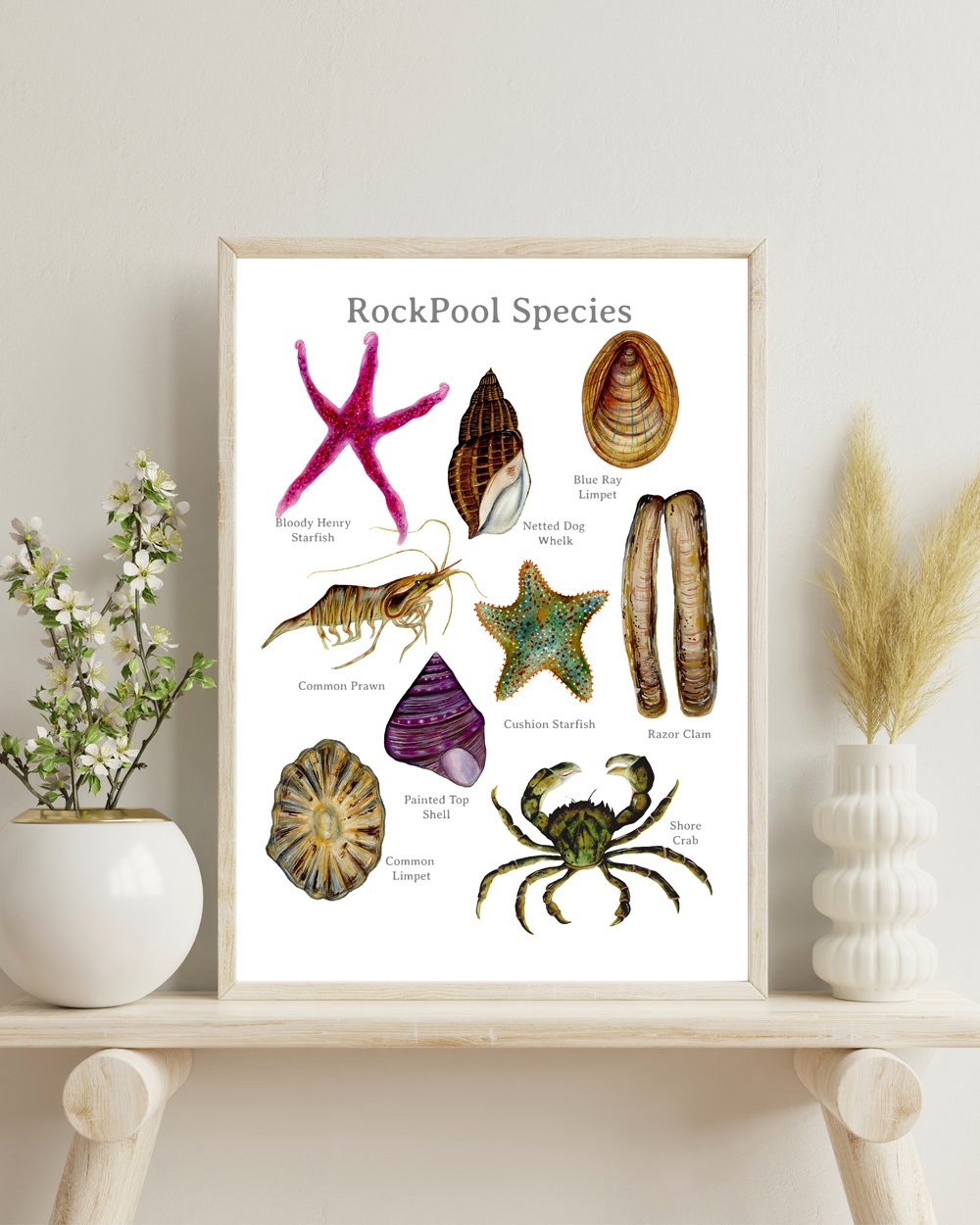 The Rockpool Poster