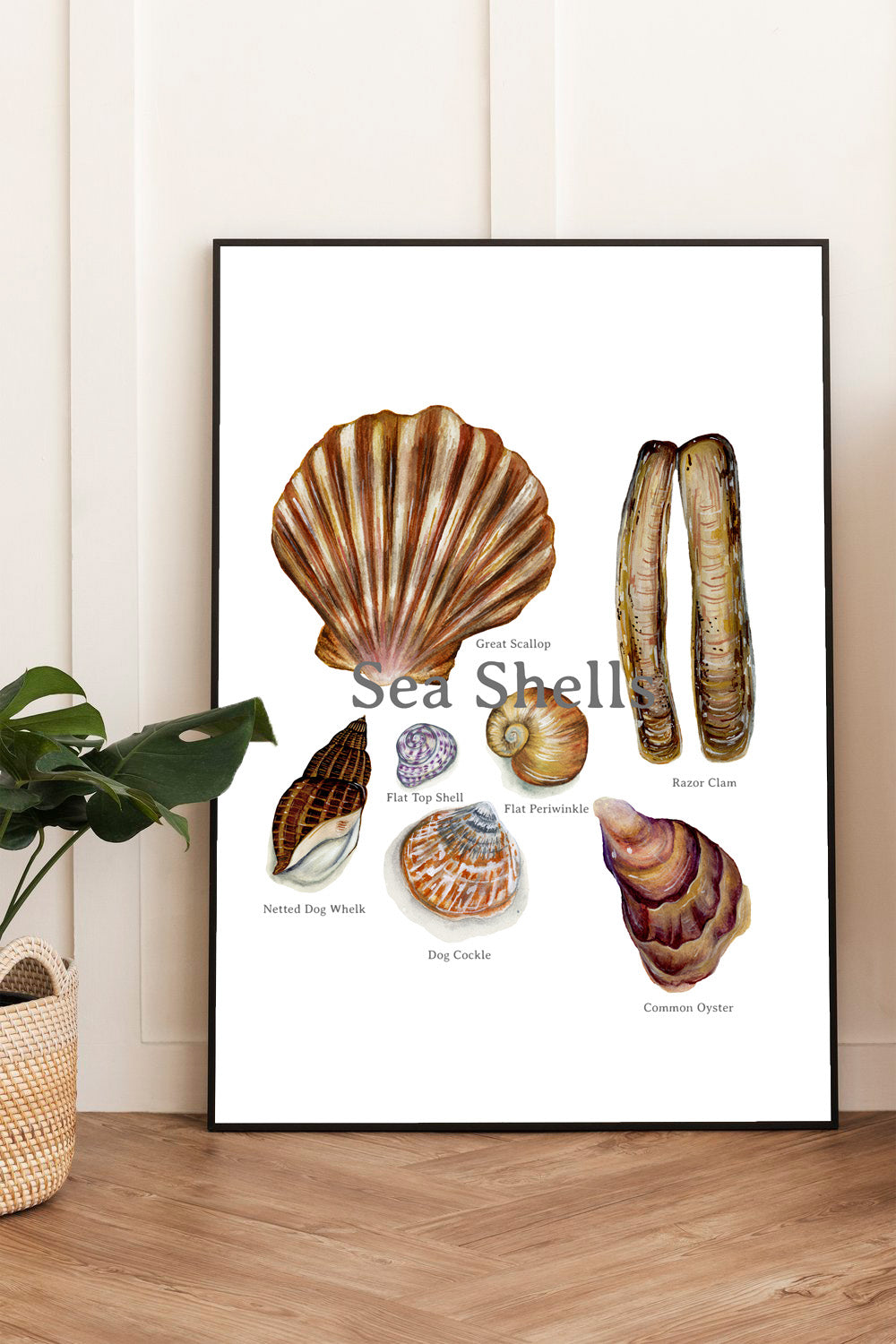 Sea Shells Poster
