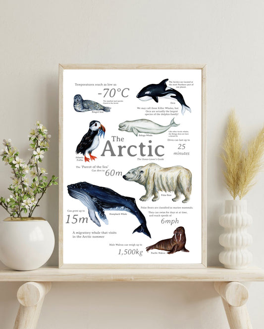 The Arctic Fine Art Print