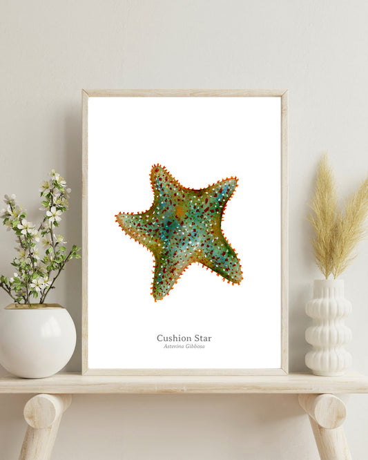 Cushion Star Fine Art Print