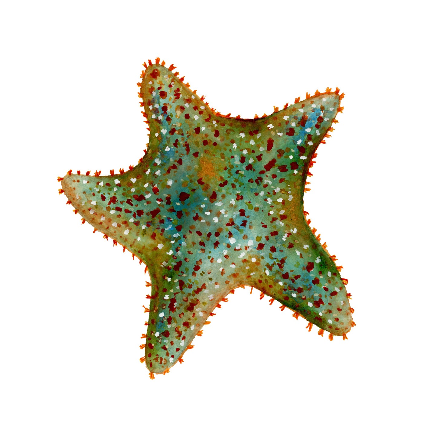 Starfish Tier