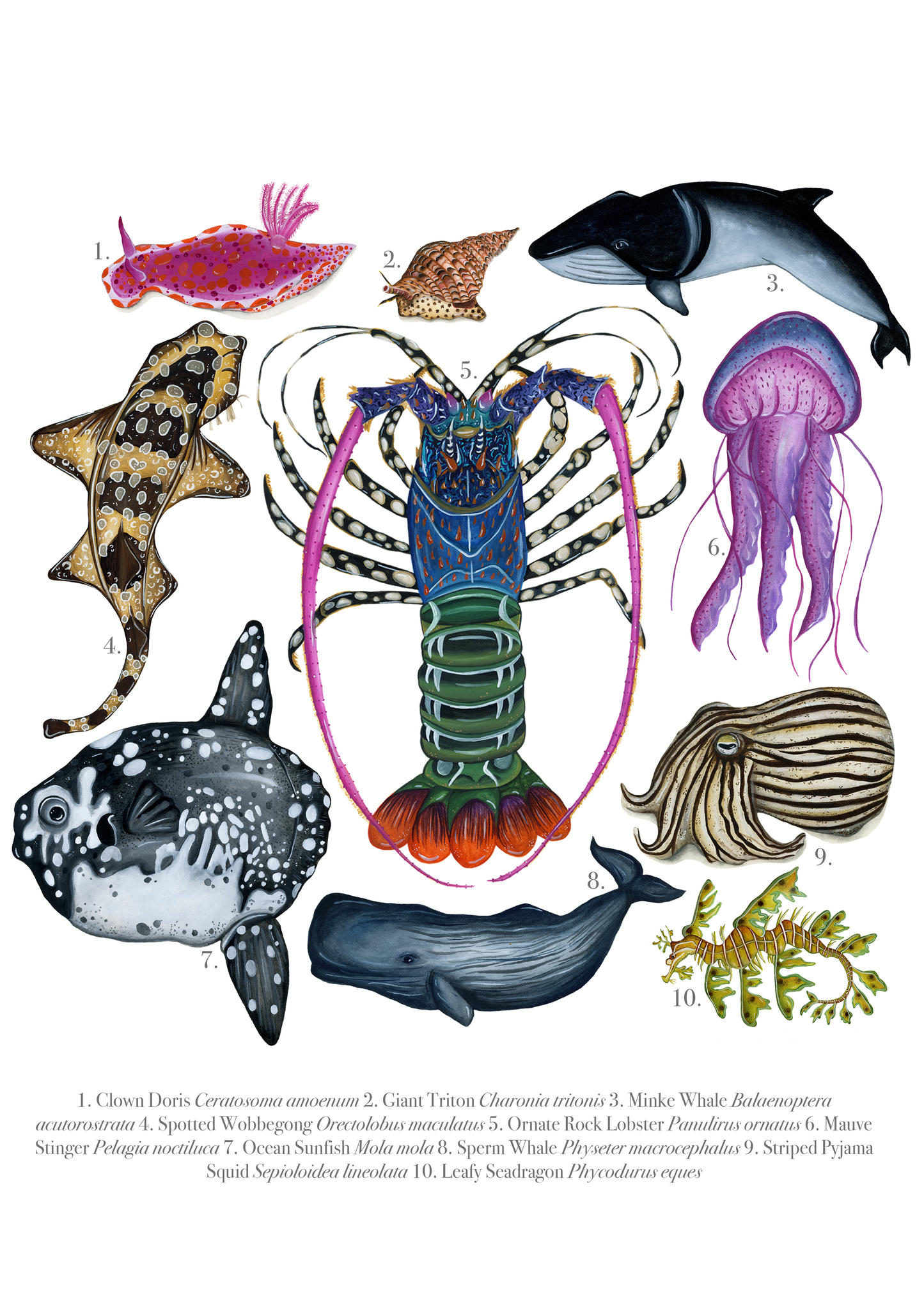 The March Archive Print