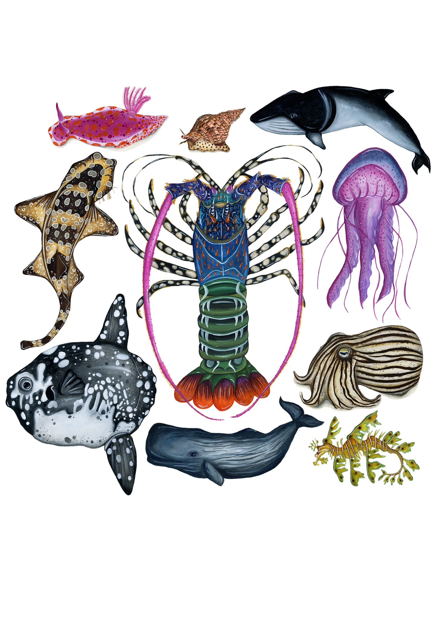 The Ocean Archive Hoodie