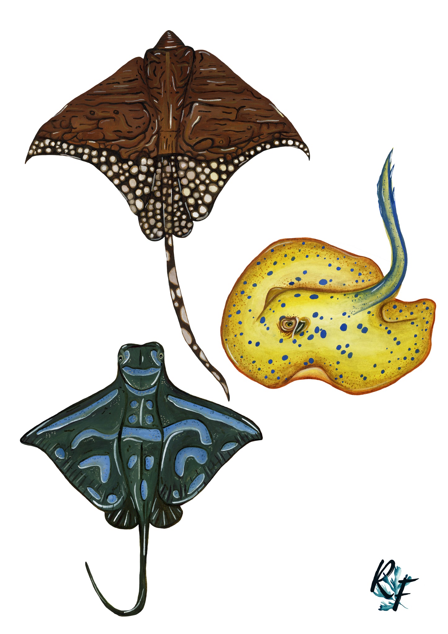 The May Archive Fine Art Print