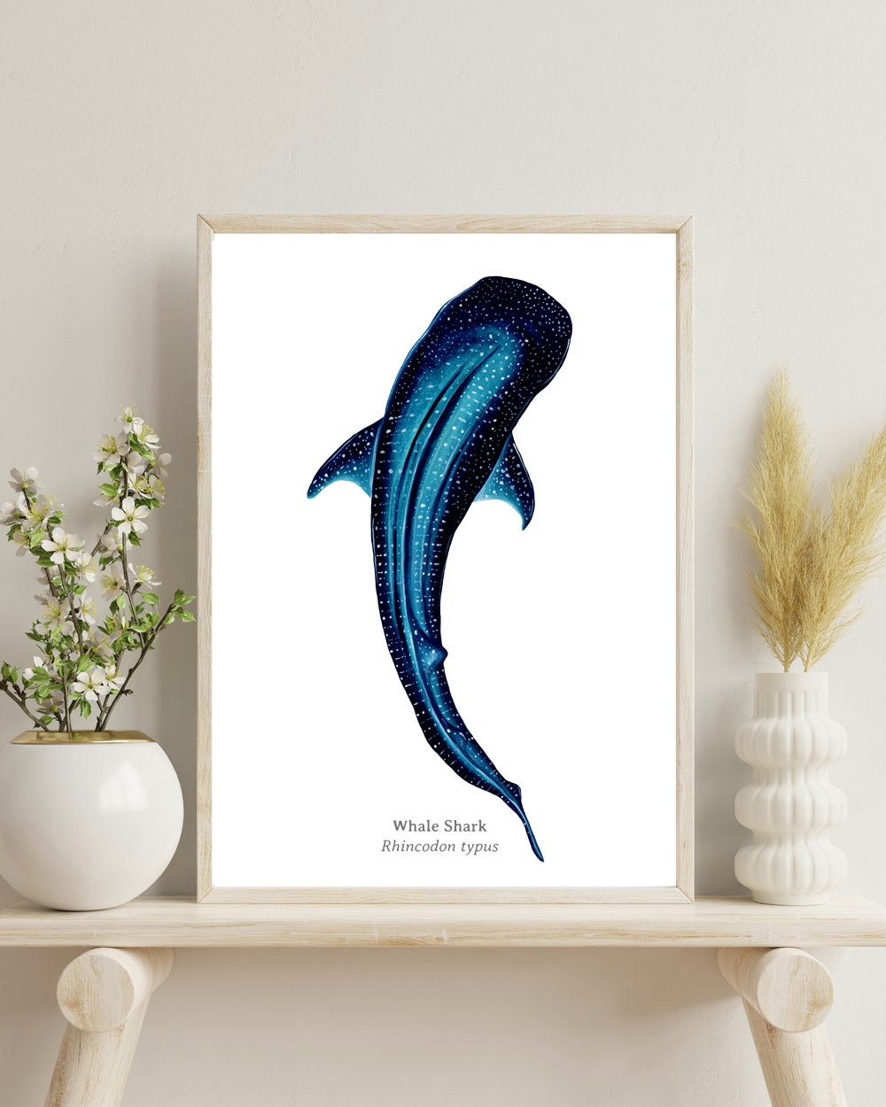 Custom Species Illustration