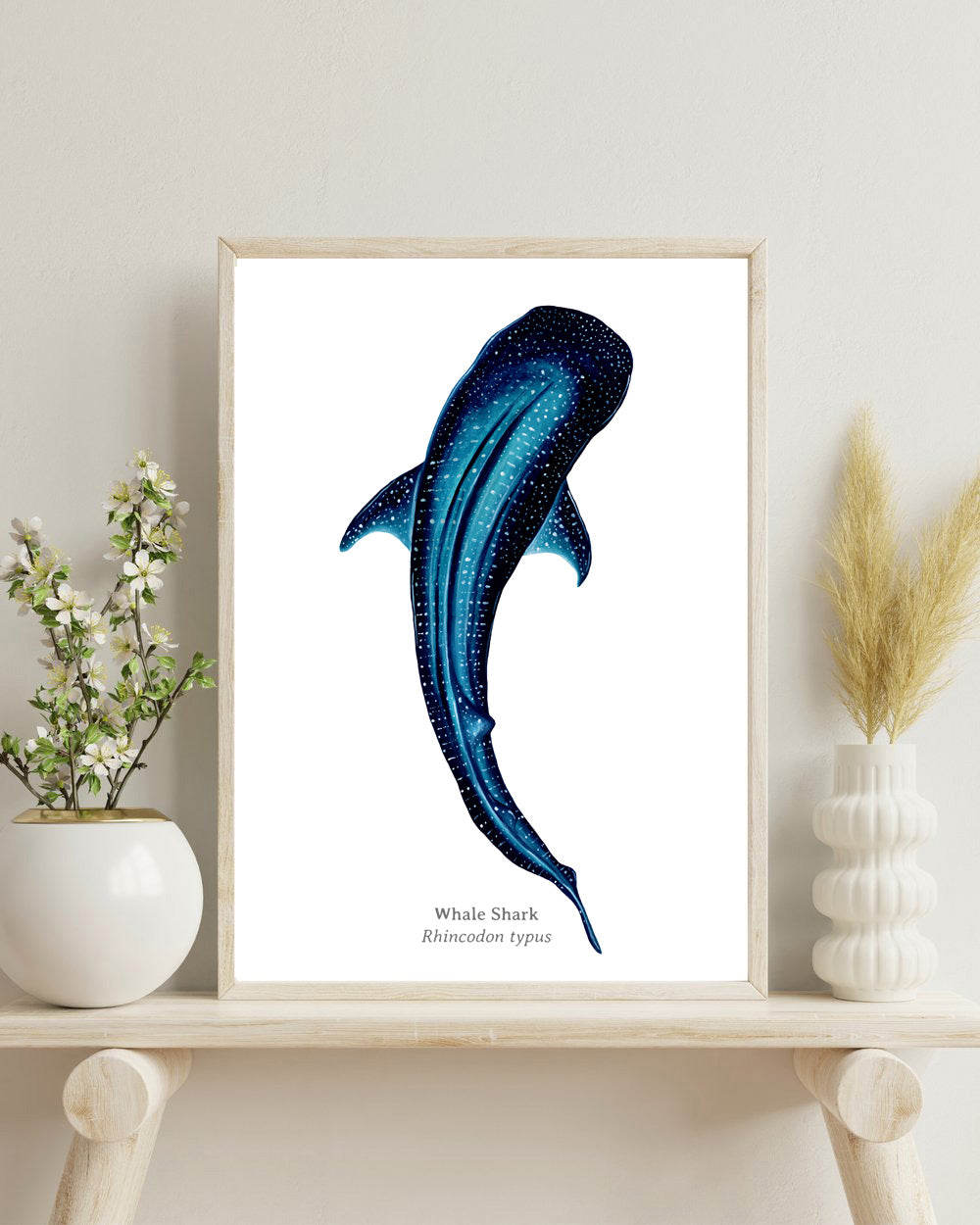 Whale Shark Fine Art Print