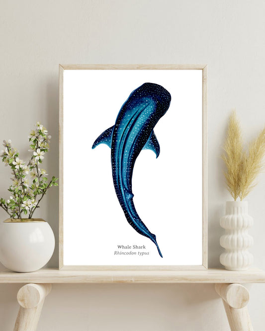 Whale Shark Fine Art Print