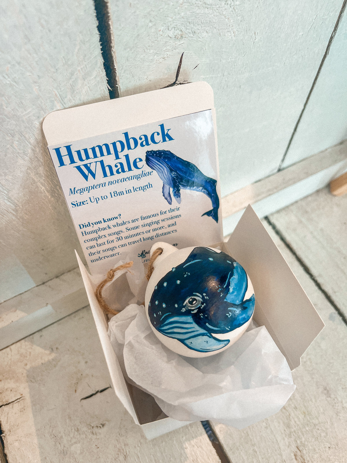 Humpback Whale Hand Painted Bauble