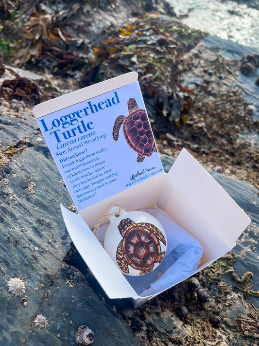 Loggerhead Turtle Hand Painted Bauble