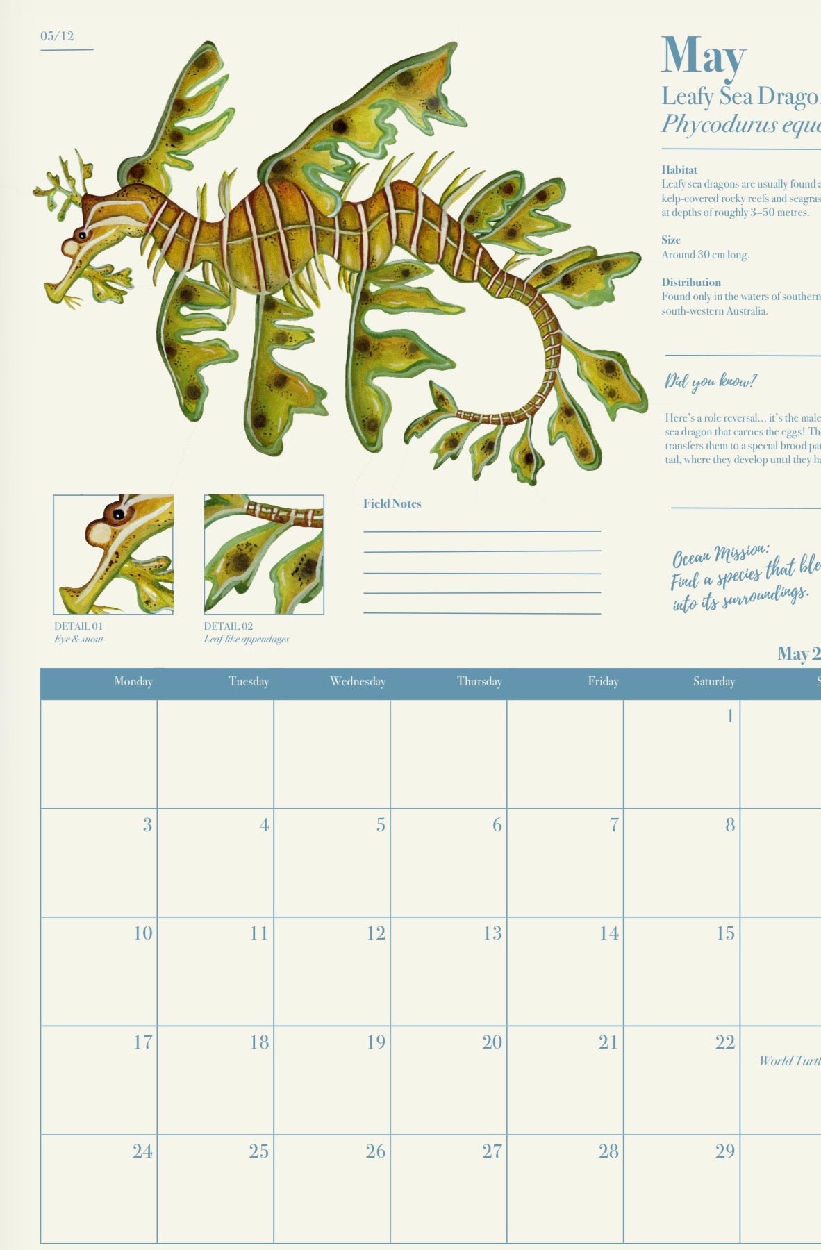 The Ocean Lover’s Calendar