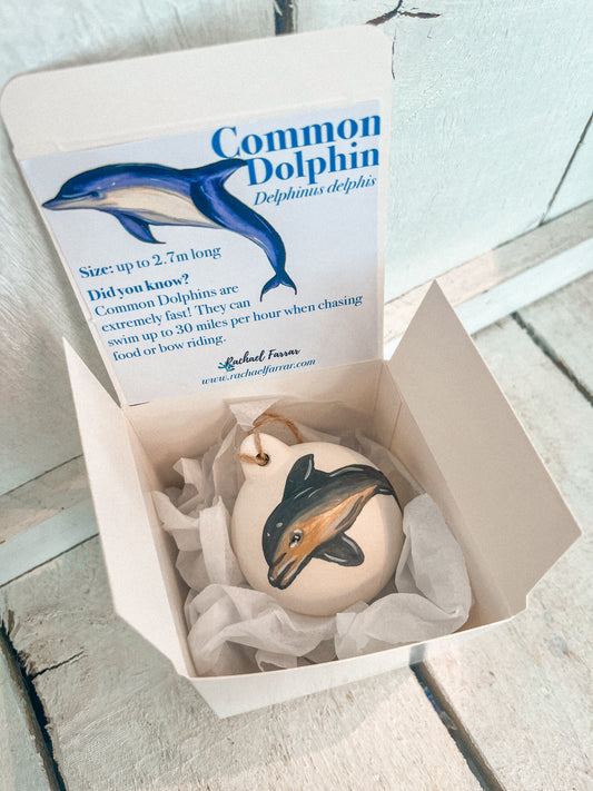 Common Dolphin Hand Painted Bauble