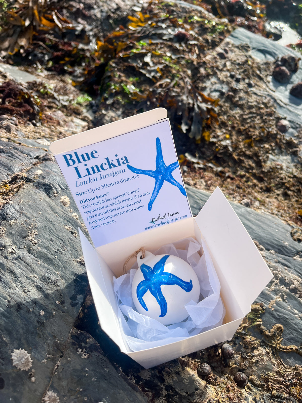 Blue Starfish Hand Painted Bauble