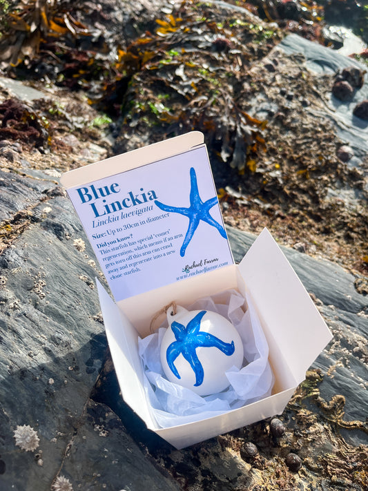 Blue Starfish Hand Painted Bauble